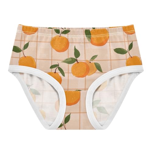 Wusikd Orange Fruit Checkered Girls' Underwear Cotton Girls Briefs Soft Toddler Underwear 2T