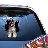 ✅ Impresiones de alta calidad: las calcomanías Forte Schnauzer de Camellia Print Gift para coche se aseguran de que cada calcomanía de coche se cree y fabrique con la mejor calidad de impresión. Nuestra tecnología de impresión 3D y su capacidad para lidiar con variaciones de color sacarán los diseños más realistas y bonitos
