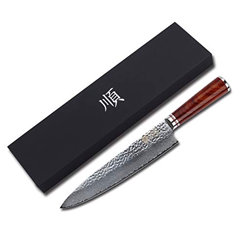 Sunlong Gyuto Chef Knife 10'' - Japanese Hammered Damascus Steel -Pro Kitchen Knife - Razor Sharp Knife - Natural Bloodwood Handle #TOP2