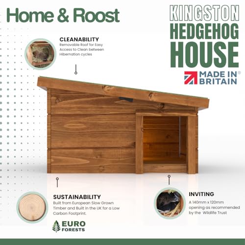 Kingston Hedgehog House and Hibernation Shelter - Predator-Proof Outdoor Habitat, Built to Minimum Wildlife Trust Sizes, Feeding Station and Home - Felt Roof Cover and Full Wood Flooring