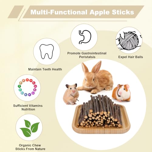 900g Apple Sticks Wood Chew Sticks Toys for Rabbits Chinchillas Guinea Pigs Hamsters Bunny Molar Chew Treats Toys for Teeth, Small Animals Snacks - Image 3