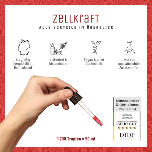 Vitamin B12 Tropfen hochdosiert 50ml mit 250µg pro Tropfen