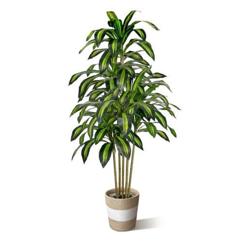 LuceAlberi 5FT Artificial Dracaena Tree - Tall Faux Dracaena with White Planter, Artificial Plants Indoor, Fake Plant Build Boho-Chic Basket, Fake Tree for Outdoor Home Office Decor