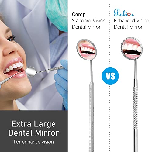 Plaque Remover for Teeth Portable Dental Tools Stainless Steel Dental Picks for Teeth Cleaning Oral Care for Adults Kids and Pets Tartar Remover for Teeth with Case for Daily Use