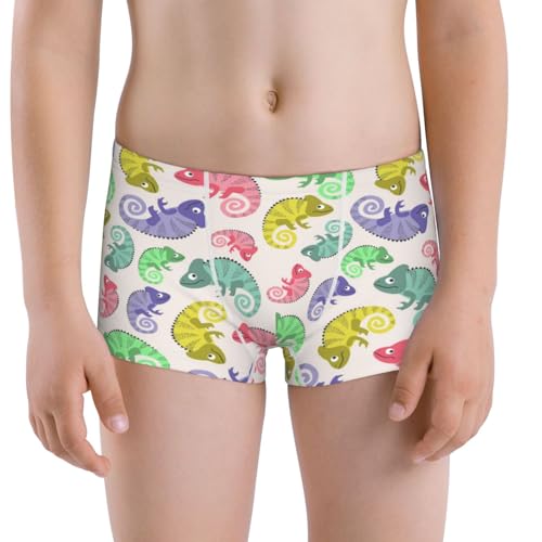 Boys' Cotton Boxer Brief Soft Underwear-Cute Chameleons