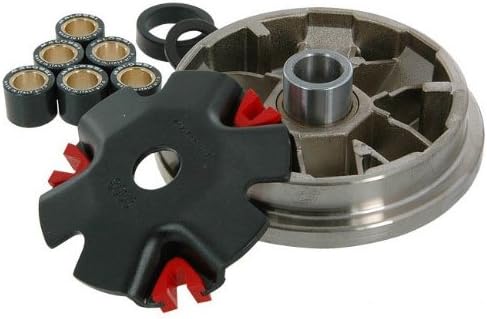 Malossi 5111852 Variator (Performance) Ruckus