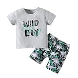U·nikaka Toddler Baby Boy Summer Beach Outfit Dinosaur Printed Shorts Gray Letters Print T-Shirt Clo
