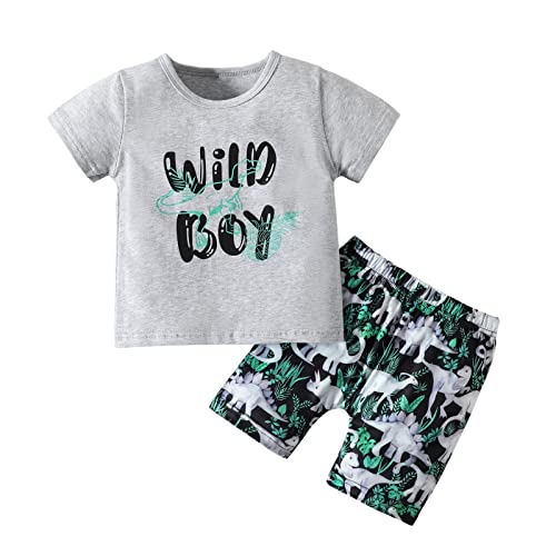 U·nikaka Toddler Baby Boy Summer Beach Outfit Dinosaur Printed Shorts Gray Letters Print T-Shirt Clothes 2Pcs Sets 12 Months 18 Months #TOP22