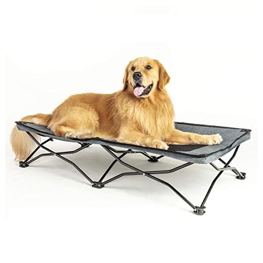 maxpama Folding Outdoor Raised Elevated Cooling Dog Cot Beds for Large Dogs, Camping Portable Pet Beds Durable and Breathable Travel Sleeping Cot with 47 Inches Long, Indoor or Outdoor Use