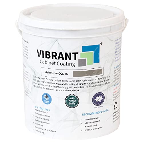 Vibrant Slate Gray Cabinet Paint