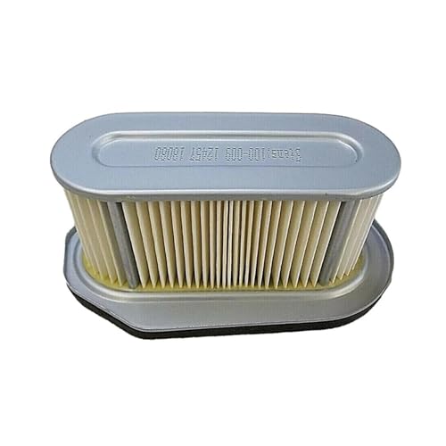 Filtre à air de tondeuse à gazon compatible FLEX 21 FE120 - 3