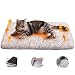 Xnqelerate Selbstheizende Katzendecke, 60x45cm Katzenbett mit Rutschfester Unterseite, Waschbarer Bezug mit Reißverschluss, Katzenkissen für Kätzchen, Hündchen, Braun