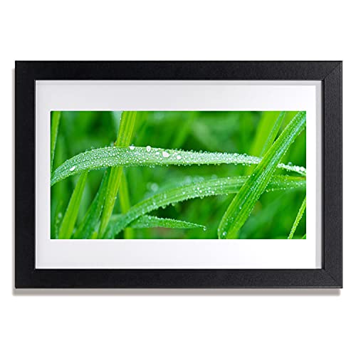 Affiche encadrée 30x20 cm Tulup pour habiller un mur vide et raviver un salon ou une chambre