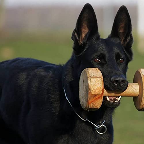 Dingo Gear Apport Holz Spiel Training Ausbildung IGP Apportieren IPO Geklebt, 1000 g S02517