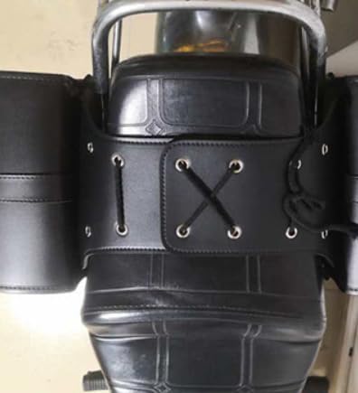 未開封新品】シュリンク有 中国金魚図鑑・専門書 未開封新品