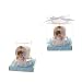 Lunaura Religious Keepsake - Set of 12 "Boy" Praying Baby Angel Votive Candle Set Favors - Blue