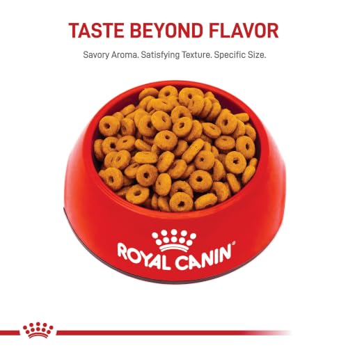 Image of Royal Canin Feline Care Nutrition Digestive Care Adult Dry Cat Food, 6 lb Bag