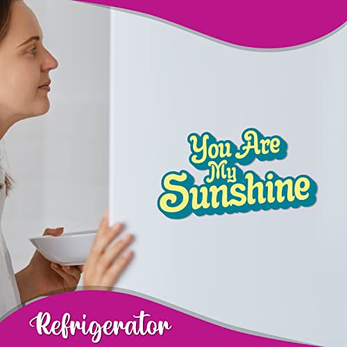 Image of Bhai Please You are My Sunshine Text Theme Fridge Magnet - Couple Gift