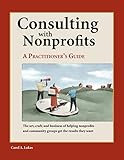 Consulting with Nonprofits : A Practitioner's Guide