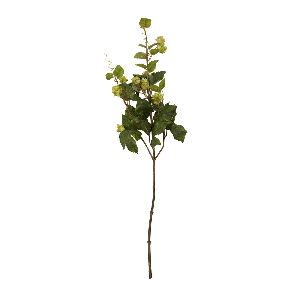 Premier Green Housewares Home, One Size