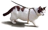 Smart Cat 3840 Harness and Leash - Gold - Case of 6