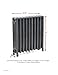 Cast Iron Radiator, 19