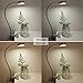 LEPOWER Clip on Light/Reading Light/Book Lights/Desk Lamp Color Changeable/Night Lights Clip on for Desk, Bed Headboard and Computers, Adapter Included, Silver