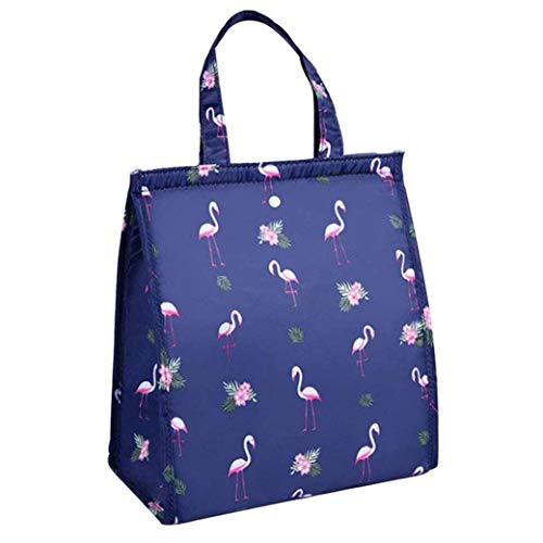 XLKJ Bolsa de Almuerzo con Aislamiento T�rmico Port�til, Bolsas para Vajilla de Exterior y Picnic, Bolsa de Almuerzo Impermeable para Oficina, Bolsa de Almuerzo Plegable para Mujeres y Hombres