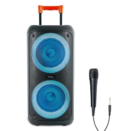 Ibiza ERIS400 Enceinte Bluetooth Portable sur Batterie avec LED – 2 Boomers Lumineux – TWS – USB, MicroSD, AUX – Micro Filaire Inclus – Trolley,...