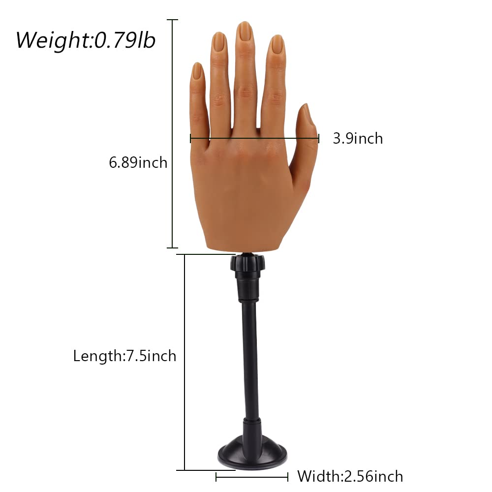 KnowU Nail Trainning Practice Hand with Clamp, Acrylic Nail Technician Manicure Supply, False Fake Hands for Nail Manicure, Best Manicure DIY Print Practice Tool