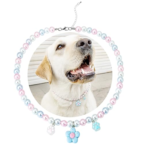 SM4BED ̎ p[lbNXAzCgƃsÑr[YƂ킢u[t[y_gƈ炵܁A^p̒߉\ȃybgWG[AXXL 20.5C`