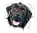 XXCKA Lindo Negro Labrador Pegatina Perro Coche Pared calcomanía Auto baño habitación Equipaje monopatín monopatín portátil 3D