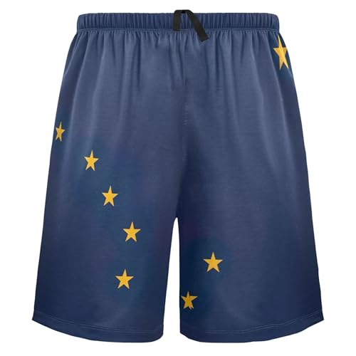 Cute Pajama Shorts for Men Sport Gym Pj Sleep Shorts Funny Soft Comfy Transgender Pride Flag Format S