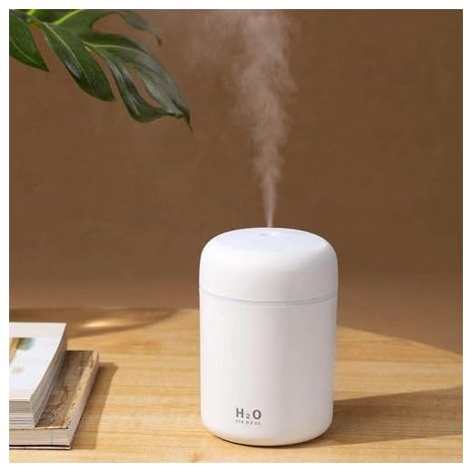 Portable Mini Humidifier, Colorful, Cool Mist, USB Powered. Perfect for Bedroom, Office & Car (300ml, White)