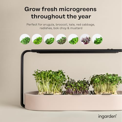 Microgreens-Growing-Kit-Organic-Superfood-Sprouting-Seed-Pads-3-Auto-4-Stage-LED-Grow-Lights-Hydroponic-Watering-System-Chic-Steel-Frame-Ceramic-Bowl-Plastic-Free-Beige
