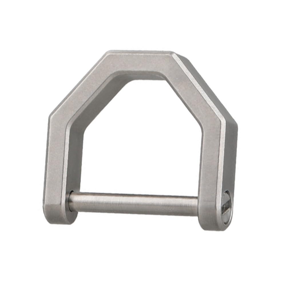 Dongker Silver Titanium D Rings,Tc4 Titanium D-Shaped Car Key Ring Car Fob Key Chain Holder For Home Car Keys