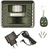 Área de trabajo: 500 m² Nature Ahuyentador Ultrasónico de Animales Casa Bricolaje Control Plagas Hogar