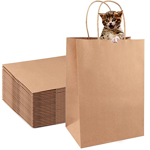 LeaderPro[ DICKERE ]Papiertüten 25 Stück Papiertüten mit henkel, Geschenktüten kindergeburtstag zum Verpacken von Geschenken, Kindergeburtstagen, Partys und mehr DIY 20.3 x 11 x 26.5cm Cover