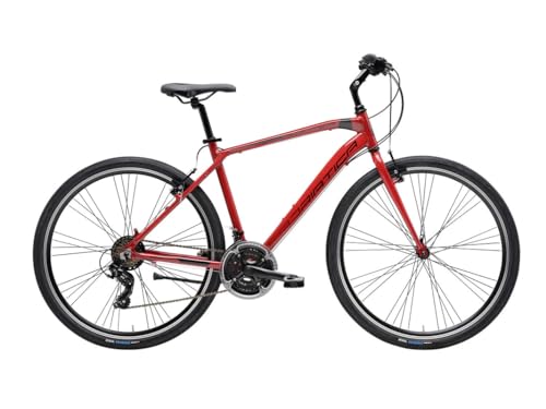 Cicli Adriatica Bazam hybride fiets boxter FY Man 28 inch, Shimano 21 versnellingen, legering frame, hybride fiets, maat 55, mat rood