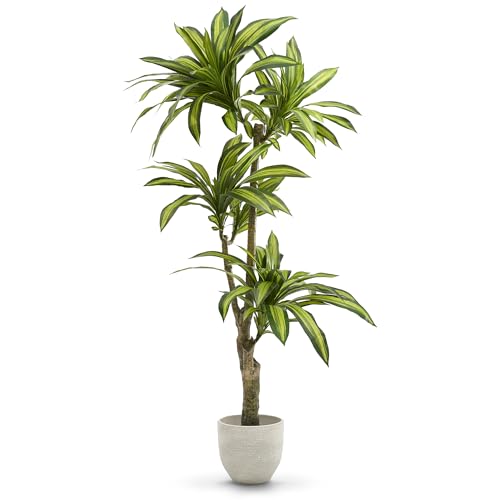 MAIA SHOP Plantas Artificiales Decorativas - Drácena Artificial 170 cm, Arbol Artificial, Planta Artificial Realista, Drácena Artificial, Decoración Hogar