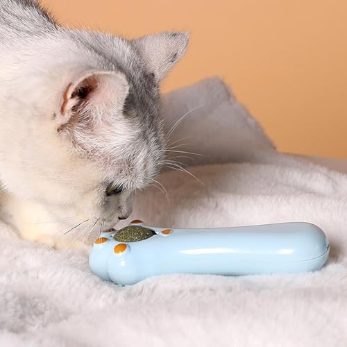 Brinquedos interativos para provocação de gatos, Varinha para provocação de brinquedos para gatos |