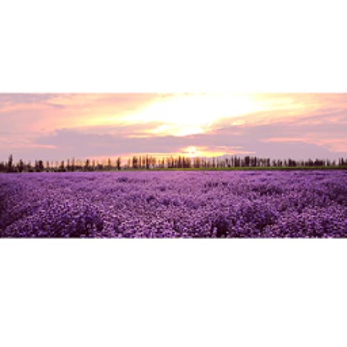 Affiche fleur scandinave coucher de soleil pour illuminer votre salon