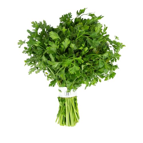 Premium Parsley Leaves 1 Bunch