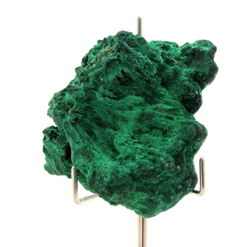 Malachite congolaise de 305.5 carats, le cadeau minéral parfait pour passionnés