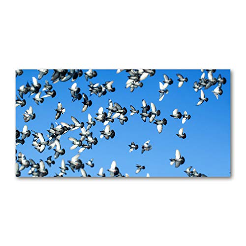 Toile Animaux 100x50 cm Bleu Un Troupeau De Pigeons Tulup