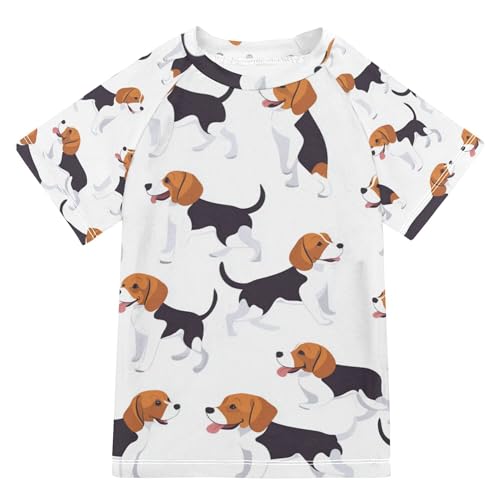 Glaphy Beagle Dogs Cute Boys Rash Guard Swim Shirt Short Sleeve Swimwear UPF 50+ Quick Dry Rashguard Shirts Multicoloured
