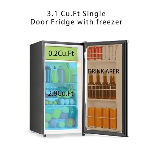 Portable Mini Fridge with Freezer