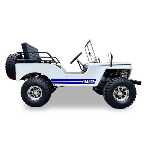 SYX MOTO 125cc Go Kart 4-Wheeler