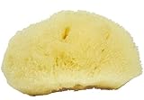Sea Soft Silk Sponge - for Cosmetic Use, Facial Cleansing, 3-4 inches