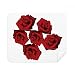 Flowers Red Rose Flower Cleaning Cloth Screen Cleaner 2pcs Suede Fabric